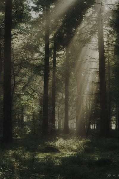 FirmMagpiefmes's tweet photo. The hills turns quiet, with a patient kind of grit. ☁️. Some nights feel like a worn coat you still keep. https://t.co/sBTvK85Yyi