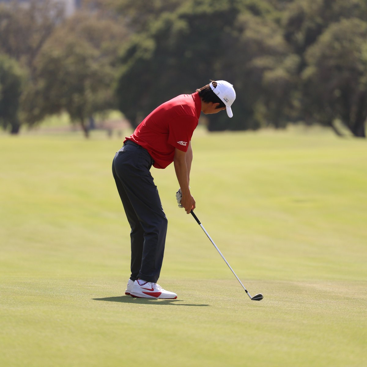 StanfordMGolf's tweet photo. Jay and Gio leading the Cardinal pack as we hit the front nine! Cardinal through 13-17 here for round three!

📊: https://t.co/kgLUABsCEx

#GoStanford https://t.co/yQTKveFuj2