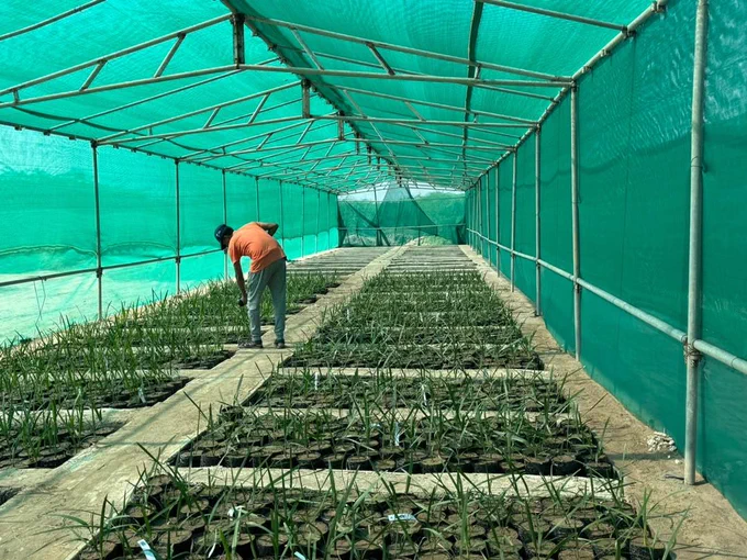 Image from UNDP Eritrea (@UNDPEritrea)