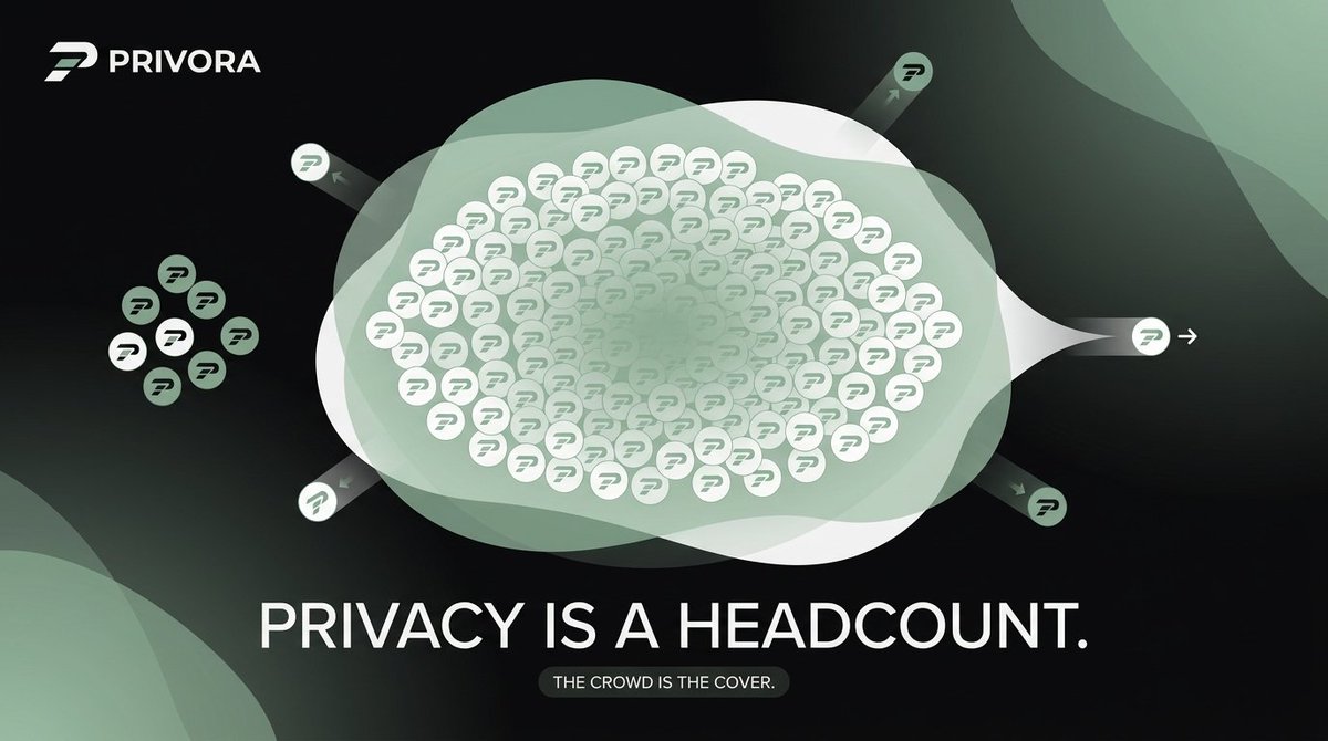 privoracash's tweet photo. Privacy is a headcount.

Every privacy system is only as strong as the number of people inside it. An anonymity set of ten is a spotlight. An anonymity set of ten thousand is cover. Each deposit into the pool grows the crowd, and the crowd is what protects you.

This is why we obsess over growth that is real. More accounts, more deposits, more epochs, more cover for everyone who came before you and everyone who arrives after.

When you join PRIVORA, you are not only protecting your own transactions. You are strengthening everyone else's.

Take your place in the pool: https://t.co/4wFHqs8CO3