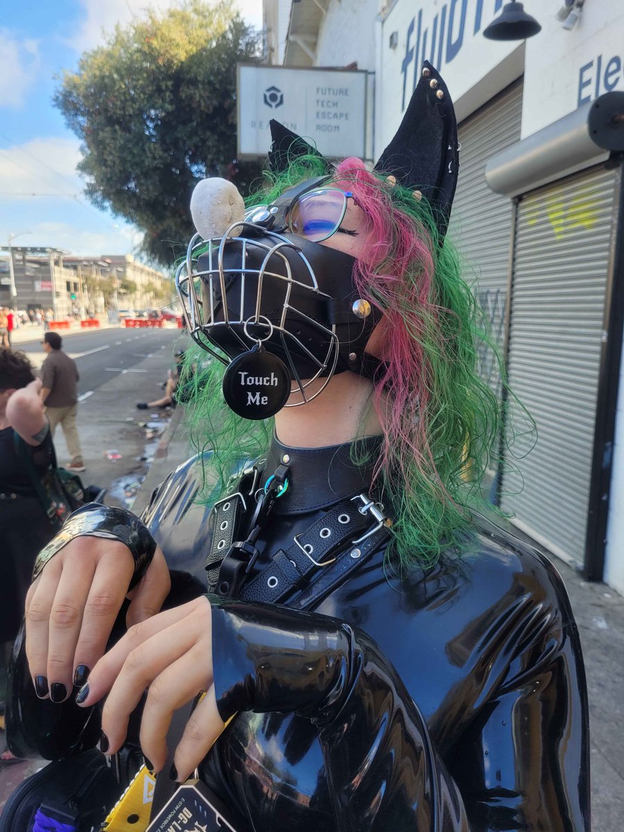 Anemonaughty's tweet photo. Being a good wolf pup at Folsom 🐺🥺 https://t.co/noJ3wLzt7D