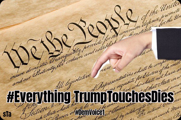 meliorist59's tweet photo. @TheInsiderPaper #CountryOverParty 
#SaveOurConstitution 
#ETTD https://t.co/agear2RIvt