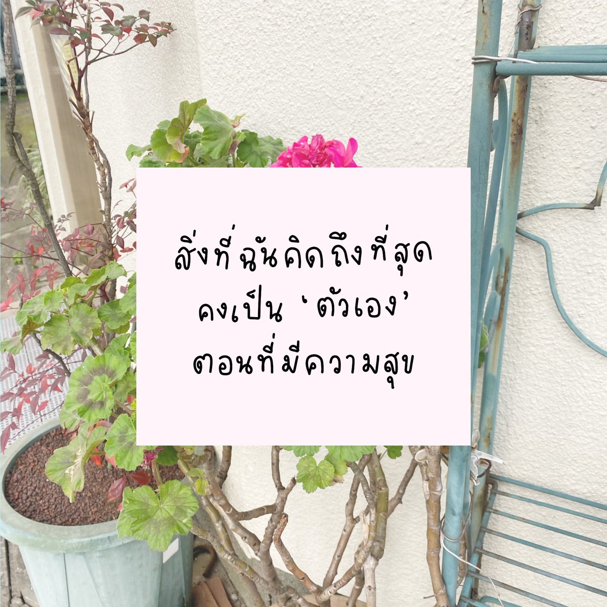 mamintzz's tweet photo. ‘คิดถึงตัวเองตอนที่มีความสุข’ https://t.co/6nevTbEU8p