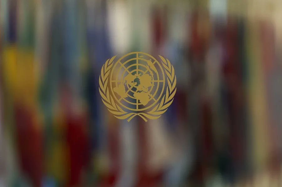 ElDia_do's tweet photo. La ONU renueva seis meses el mandato de la fuerza contra las pandillas en Haití
Más detalles en: https://t.co/BYBROdDOkA
#PeriódicoElDía #ONU #renovación #mandato #pandillas #Haití https://t.co/ImfBiCdiDu