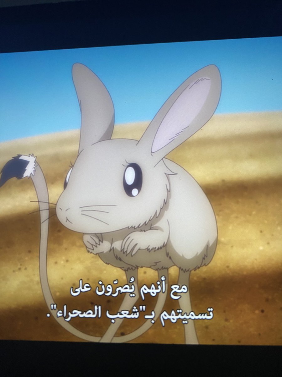SaltedMoe's tweet photo. اول جربوع يظهر بانمي 🥹🥹🥹 https://t.co/1Zr9RqX3Oy