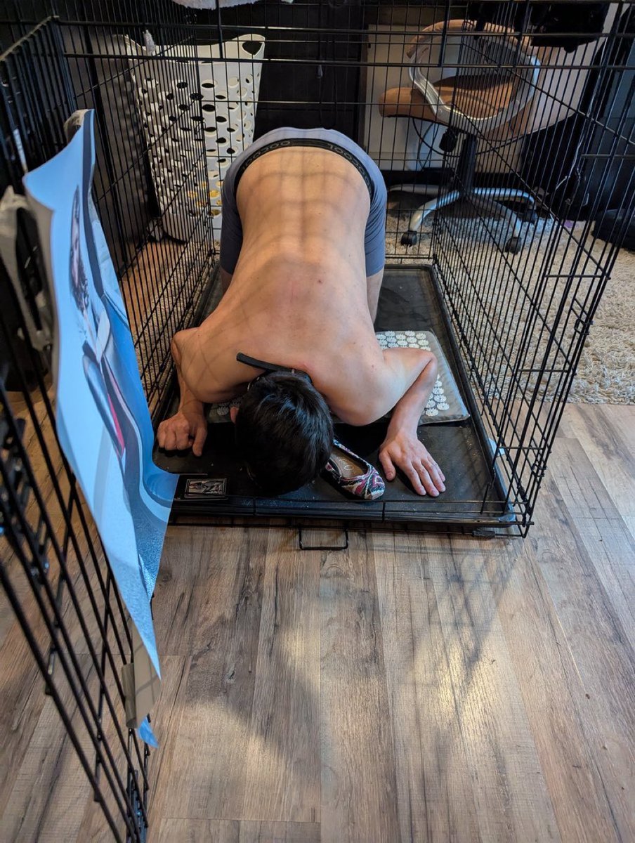 GoddesSuperior3's tweet photo. A beautiful morning look like this to mistress 👋 https://t.co/8E5W2joWze