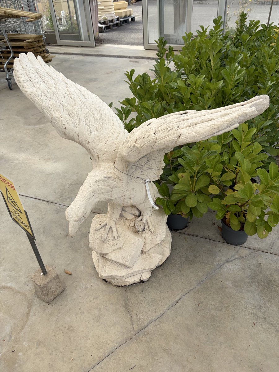 flavskw's tweet photo. « chéri j’ai trouvé de la nouvelle déco pour le jardin » https://t.co/LuTZAqYFAp