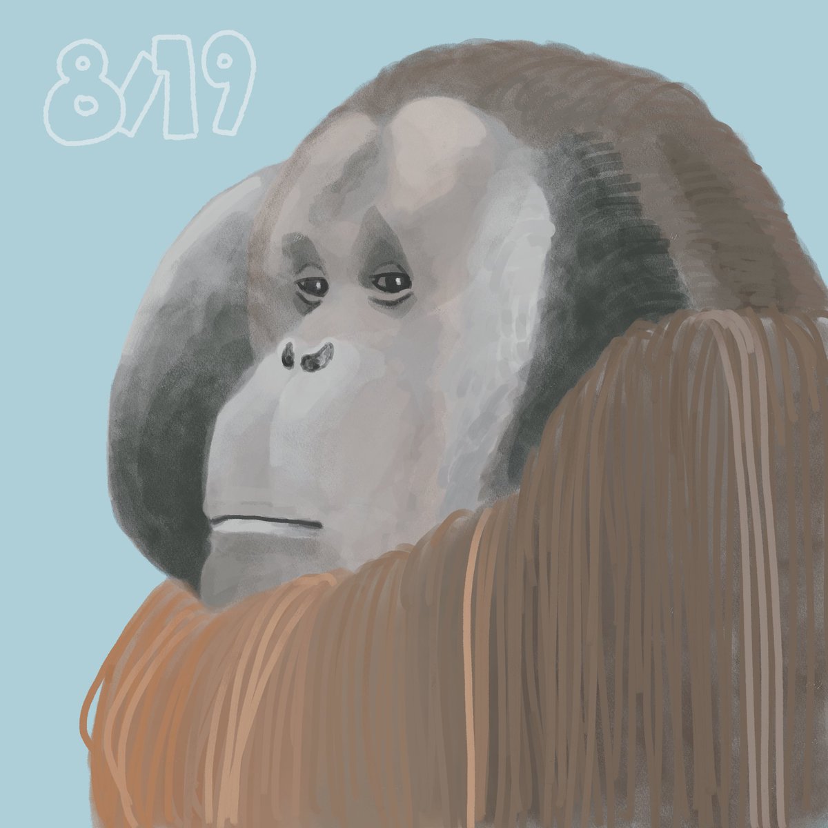 kiuminooo's tweet photo. 8月19日_世界オラウータンの日_
#イラスト
#365日 https://t.co/MZ3DZuvGh3