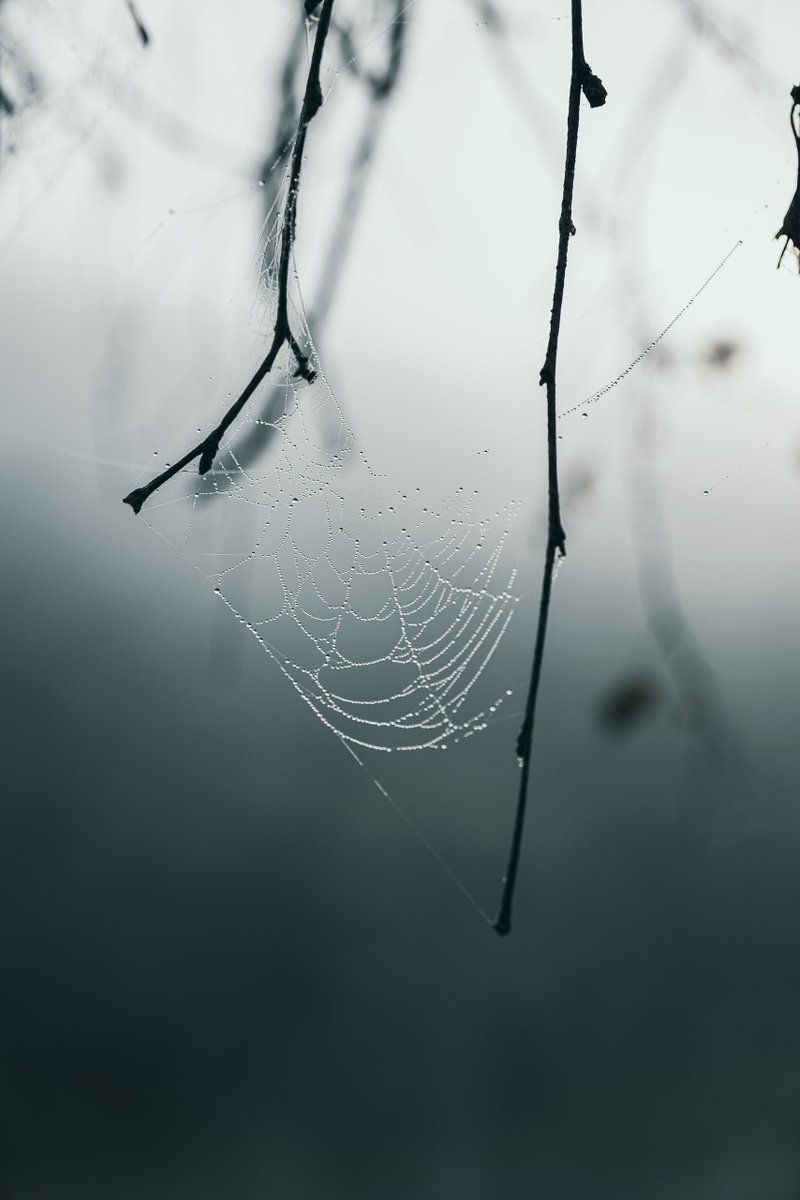 petitlivna's tweet photo. 😭 🌧️ https://t.co/dPmn2xR42c
