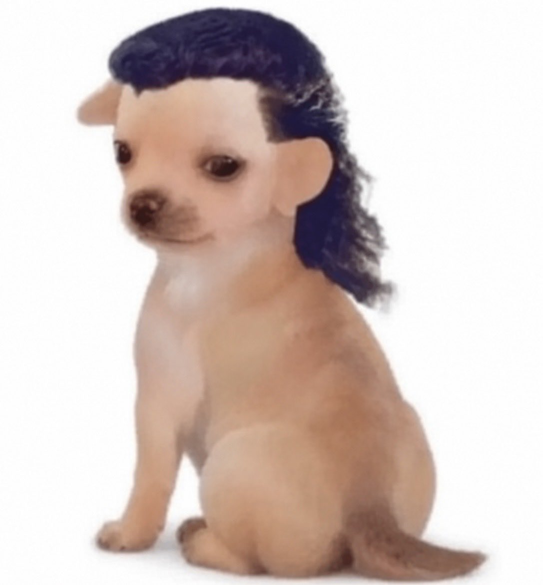 mulletdogpf's tweet photo. @_Shadow36 Wut https://t.co/4ufarsuVbi