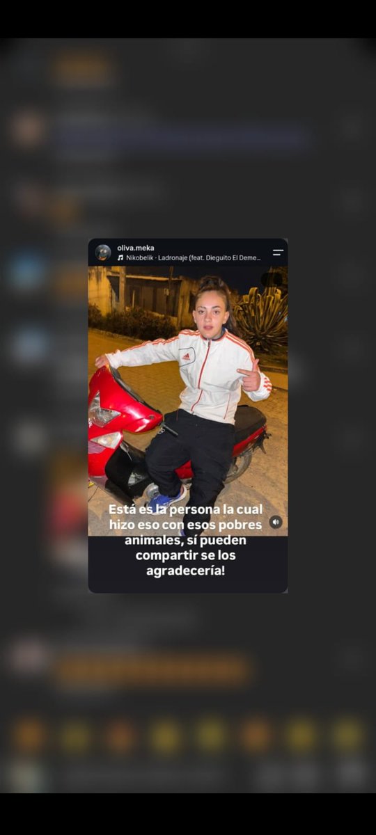 ladymoskigna's tweet photo. Todo esto ocurrió en Tafí Viejo en Tucumán y la gente está indignada pidiendo que los medios de comunicación del país se enteren!!
Esta es la inmundicia. Y por más que tenga 16 años, hoy la ley contempla que tiene que ir presa!! https://t.co/Tm0zWeYN4p