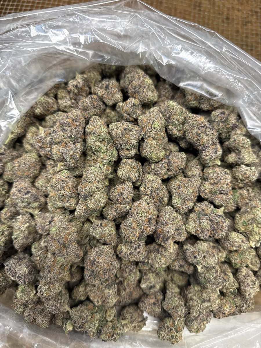 cannbis_farms's tweet photo. Purple RuntZ 💨 https://t.co/lqyYzm9JBW