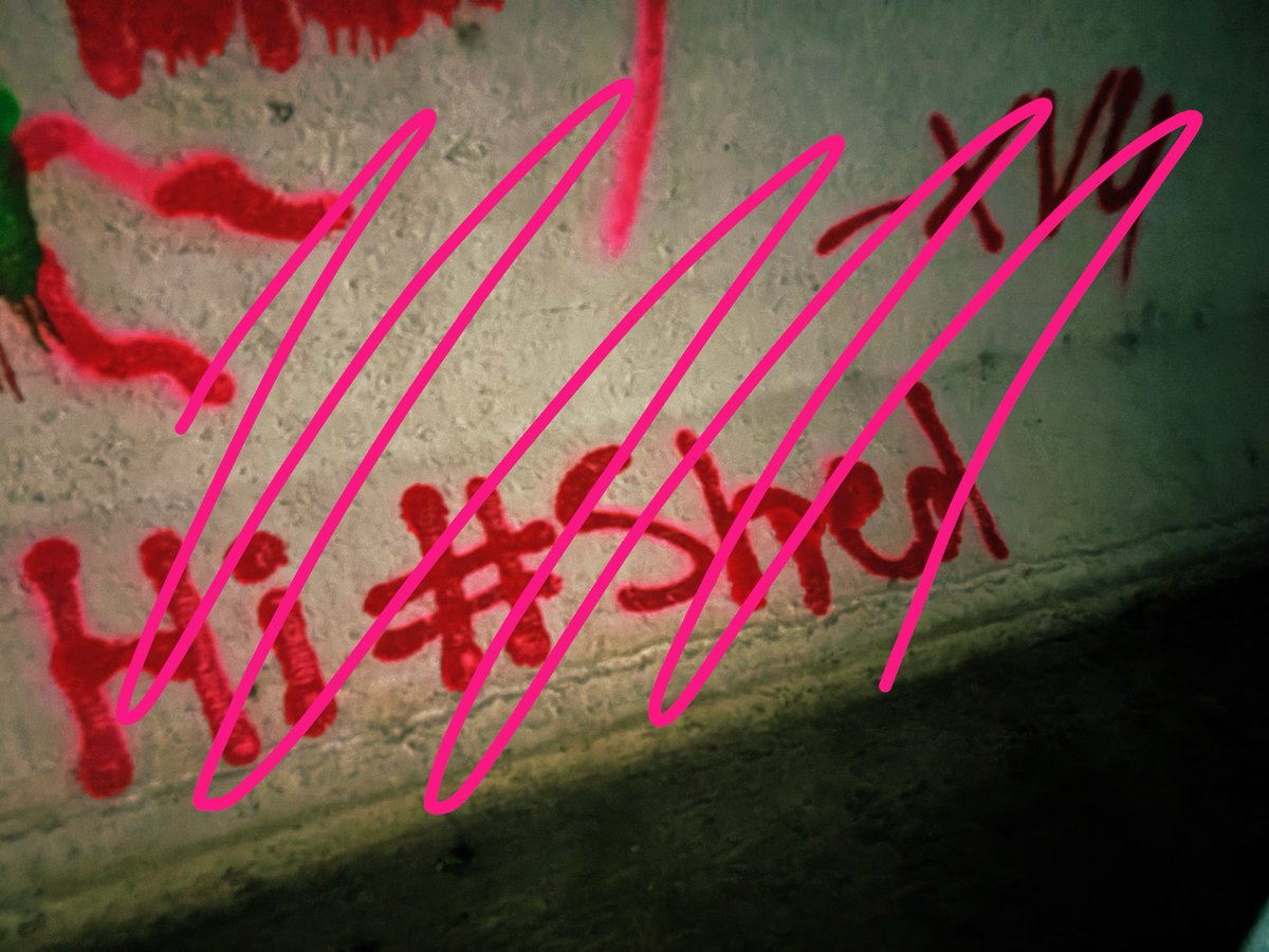 princeser's tweet photo. #shedtwt https://t.co/V2JqyIO5X1