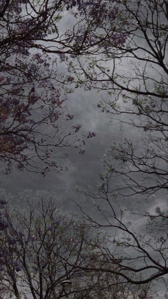 gloomyvisuaIs's tweet photo. gloomy paradise. https://t.co/JabXkefFkO