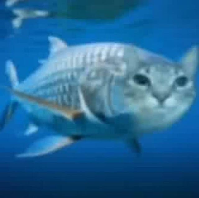 WhaleShark_Blue's tweet photo. BREAKING: marine biologist have find the fish ⬇️⬇️⬇️

follow https://t.co/xEpN2qMkg5