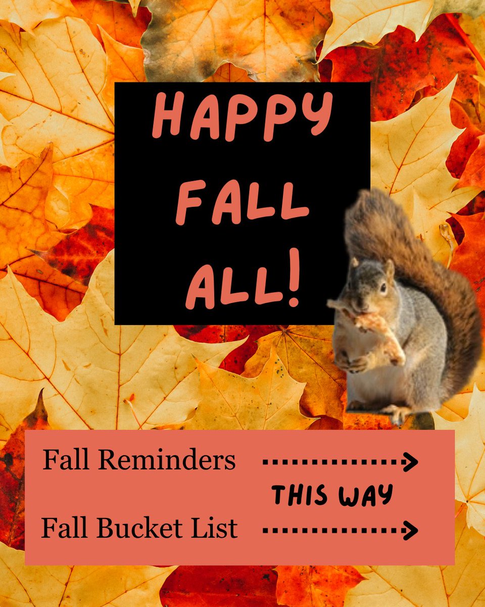 RodLibrary's tweet photo. Get excited . . . It's officially fall! 🍂🍎🏈🎃 https://t.co/e65SphbfjY