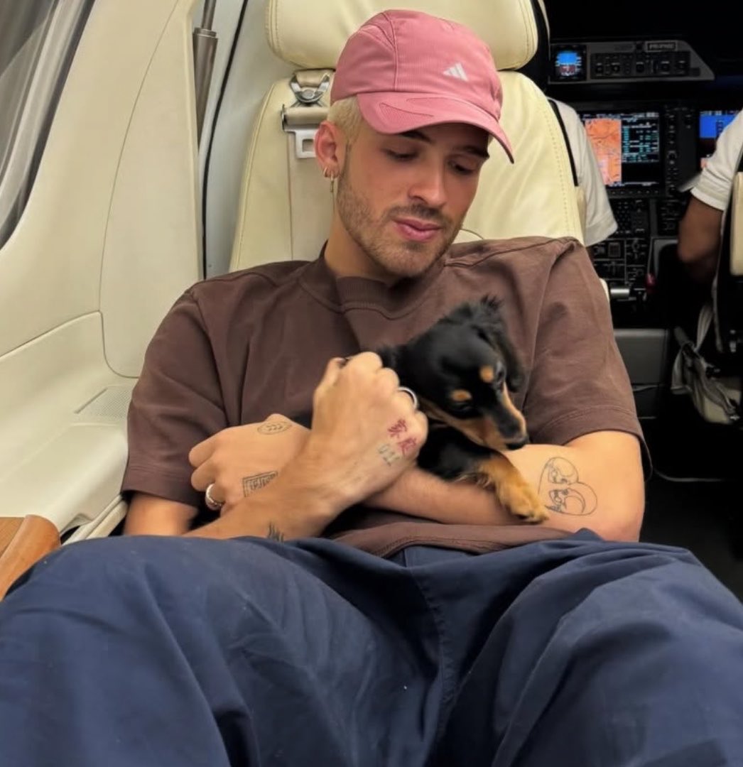 PortalBabados's tweet photo. 🚨Bruna Marquezine e João Guilherme dividem a guarda dos cachorros que adotaram juntos durante viagem ao Japão. Após o término do relacionamento, João ficou com Haku e Bruna com Chihiro, mas os dois continuam se revezando nos cuidados dos pets e fazendo com que eles se encontrem ❤️