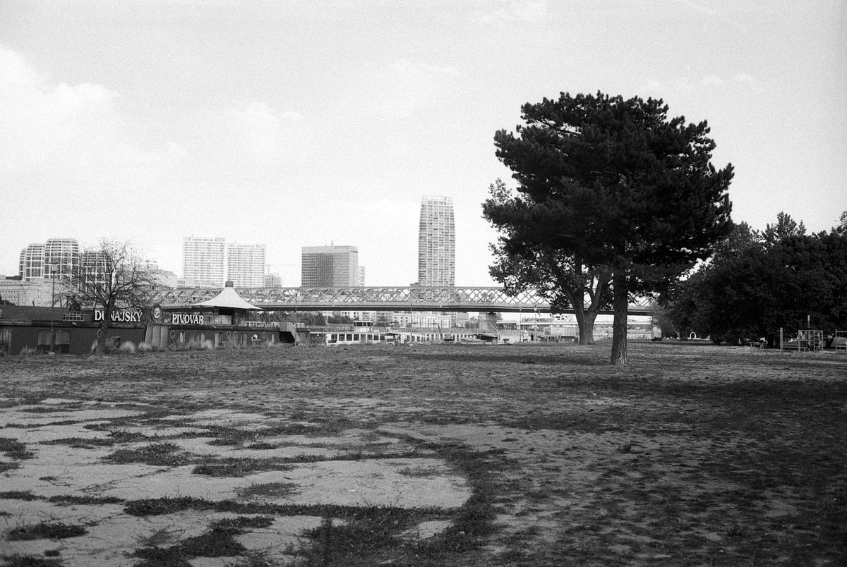 kreienbuehl's tweet photo. #shotonfilm #homedeveloped #filmphotography #analogphotography #filmisnotdead #buyfilmnotmegapixels #135film #35mm #monochrome #blackandwhite https://t.co/gRnEnfcegH