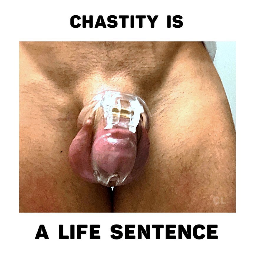 RealPussyMaker's tweet photo. When a boy is locked, his mind stays on me whether he wants it or not. The cage keeps him aware of who controls his body every single hour of the day. He can try to distract himself, but the constant pressure reminds him that his pleasure is no longer his decision. This is one of the things I enjoy most about keeping subs locked. Their thoughts slowly become centered around me without me having to say much. The longer they stay caged, the deeper that connection becomes.