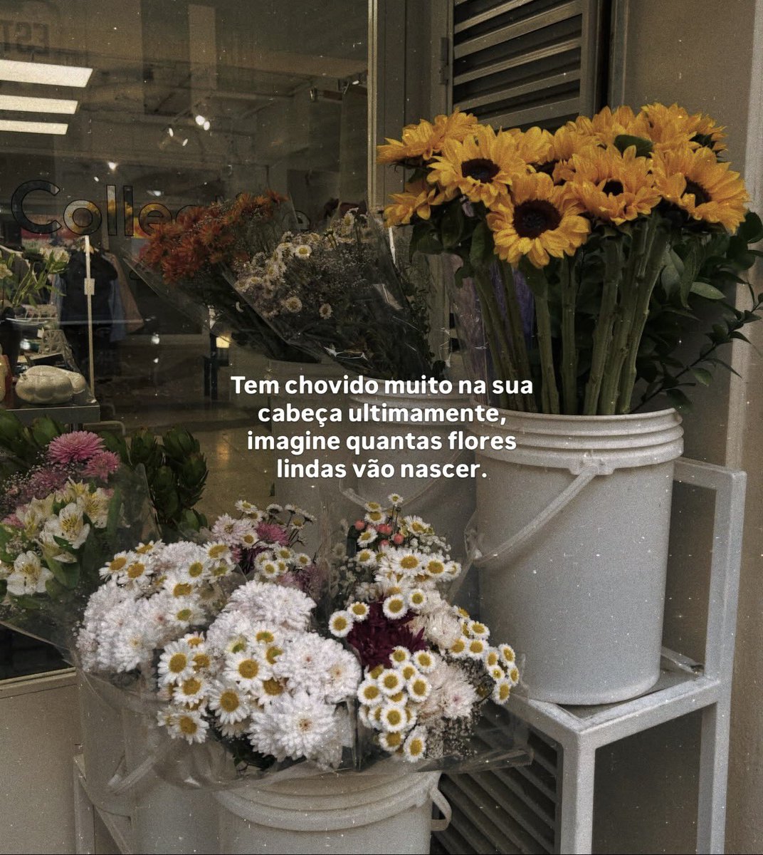 reescrevi_frase's tweet photo. https://t.co/rvGywFMkiV