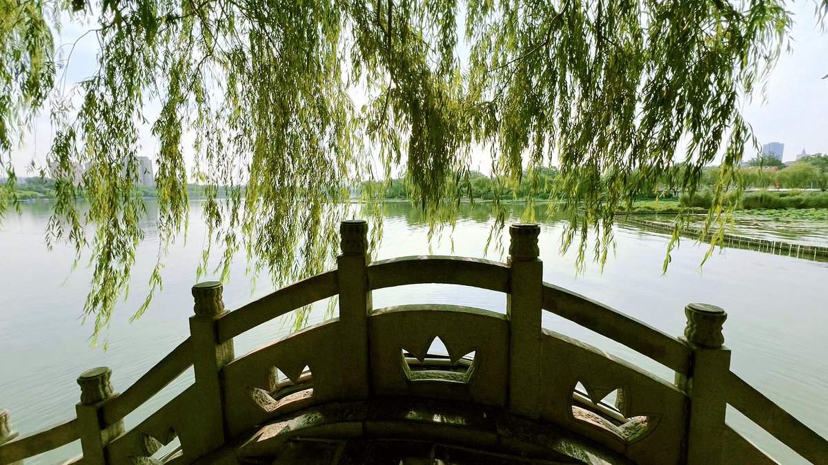 oniaditya2's tweet photo. The wind sways the lush 绰蔡笆 by the old riverbank, quiet and warm on this lazy afternoon. https://t.co/qV69zQ55pb