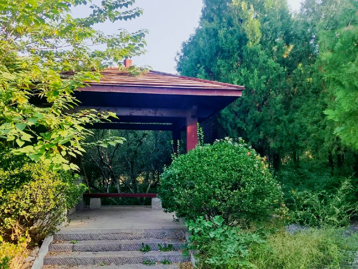 Muhamma81550121's tweet photo. "By the wooden path, I quietly crossed a bumpy stone plot—such a small, unassuming spot holds so much charm "， https://t.co/JHairolBQV