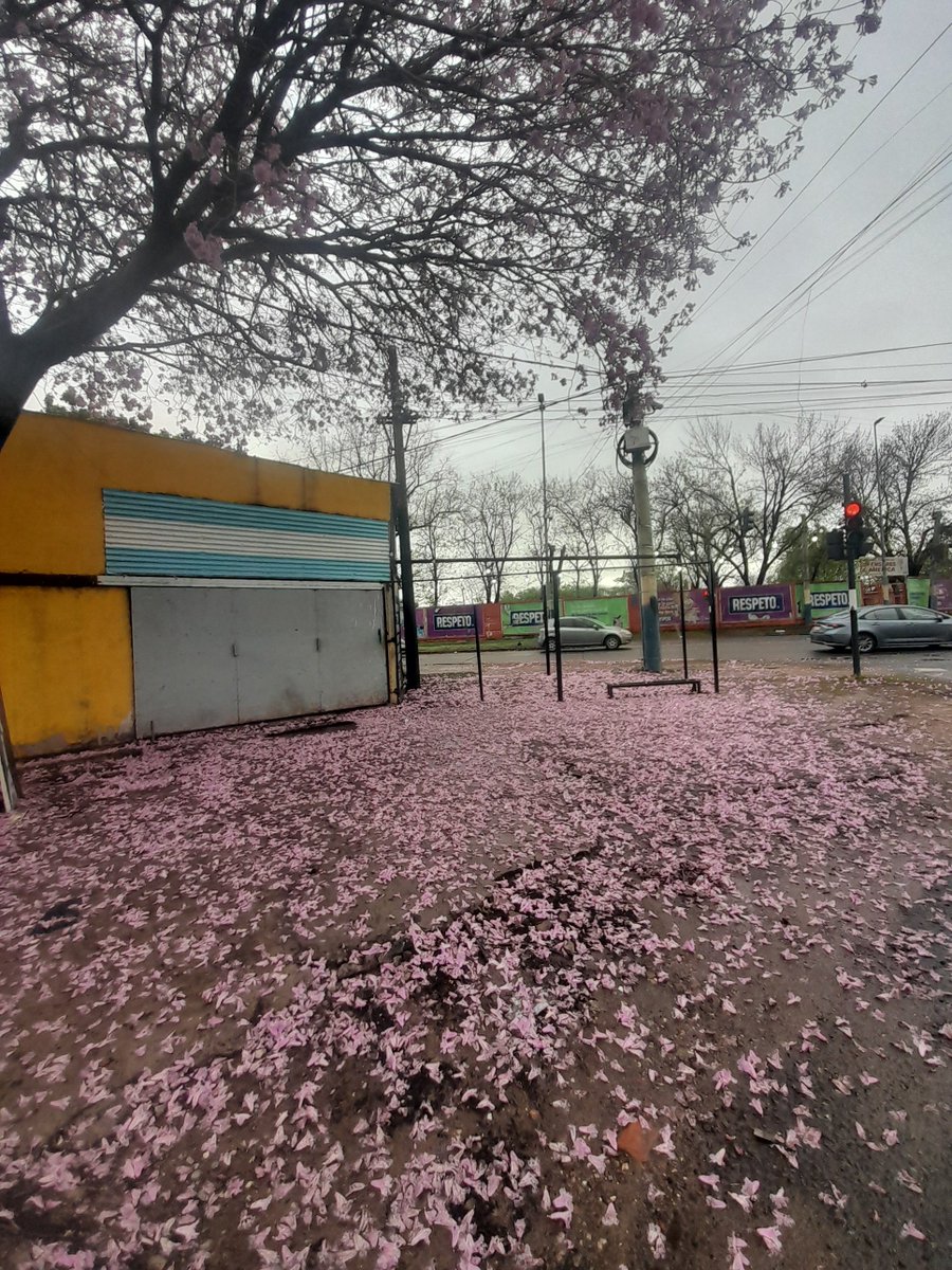 kkoaall's tweet photo. rosario o japon? uwu onichan https://t.co/kjrNlfonz2