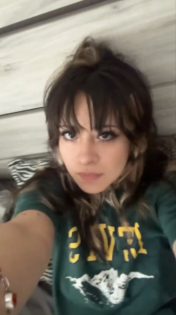 ToeFiddlerr's tweet photo. calm lil pic i took since i just got my bangs back and retouched my stripes (one side is white though bc stylist messed up a wee bit..) https://t.co/lJp4CFmL2r
