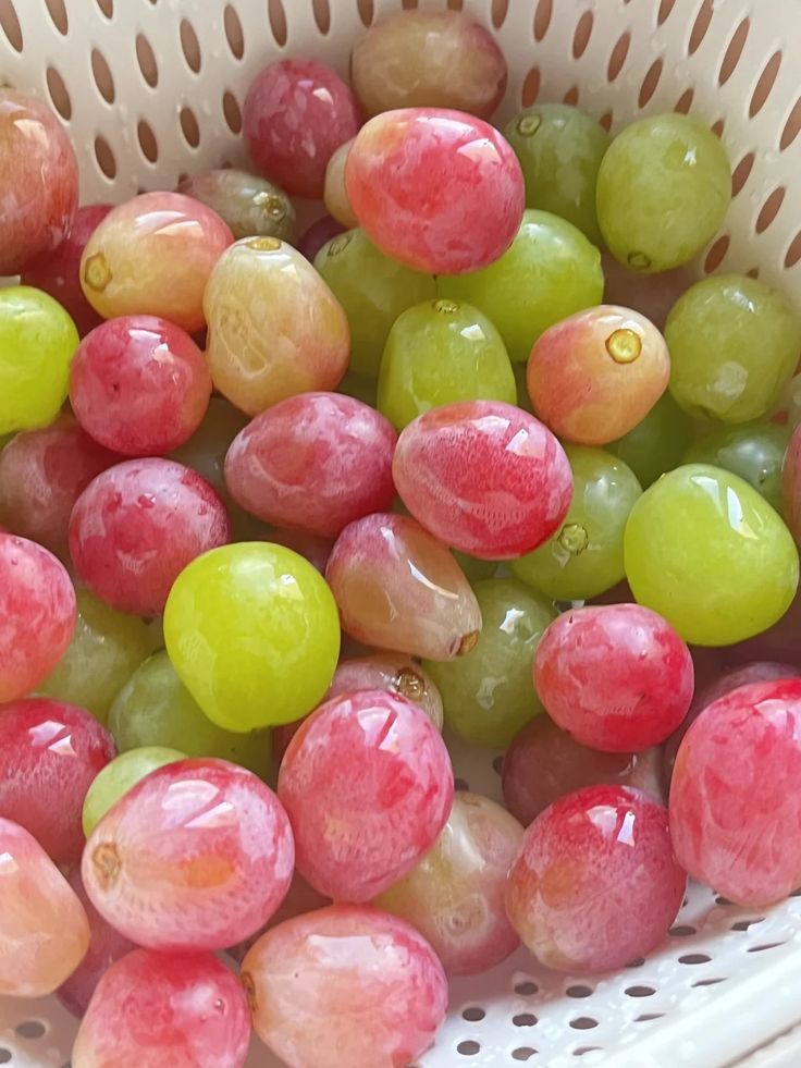 calmgloww's tweet photo. a bowl full of little bursts of color. https://t.co/I2dcoRTeZJ