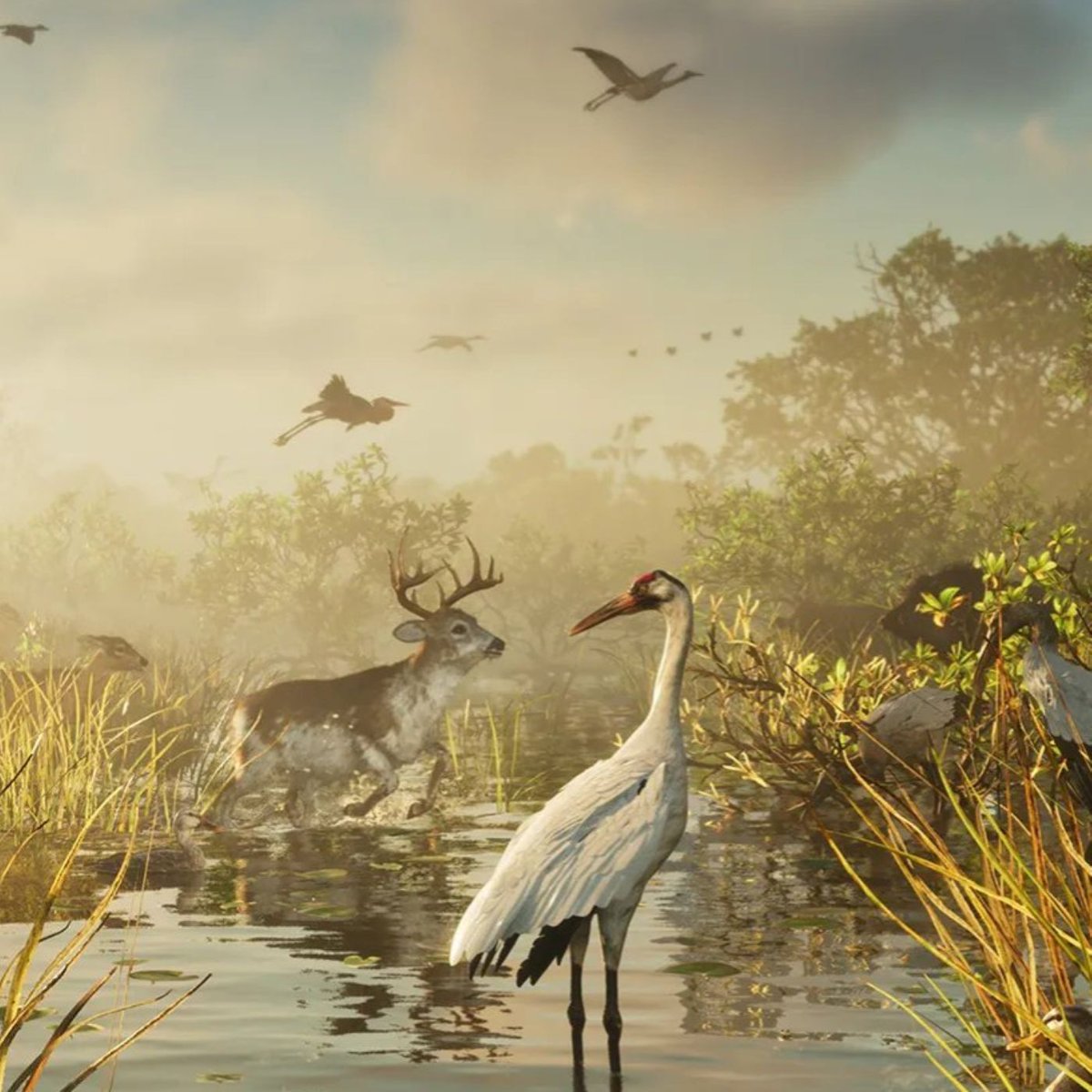 Dexerto's tweet photo. Rockstar has confirmed that GTA 6 will feature over 170 different animals

Some will be classed as Rare or Legendary, similar to Red Dead Redemption https://t.co/c5fZOvhfzH