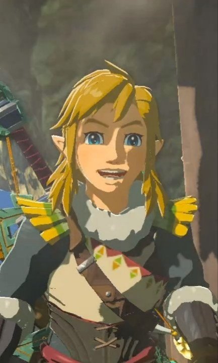 tloz_queen's tweet photo. Smiling Links for good luck <3 https://t.co/8VkmJFiG6m