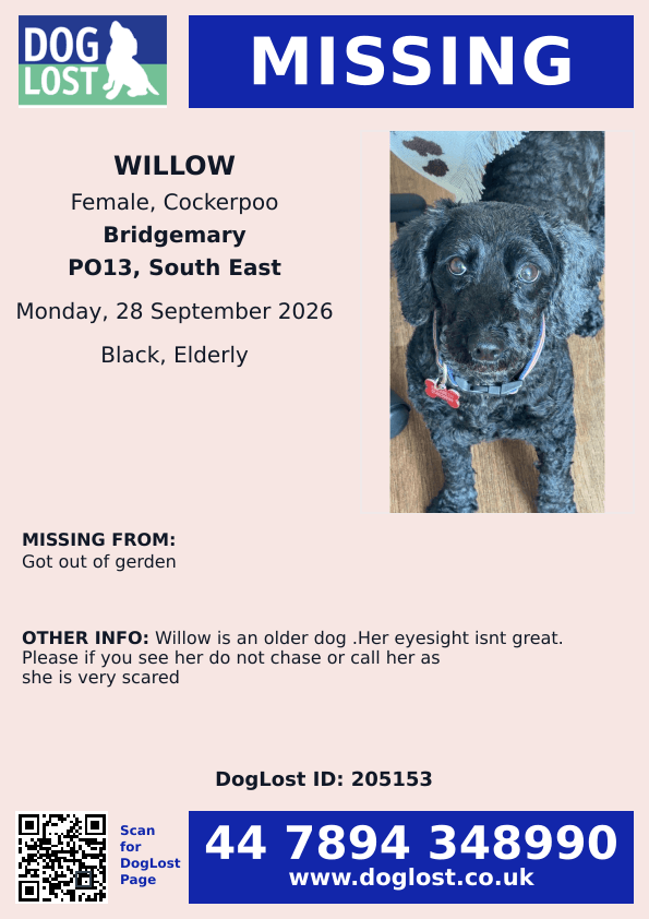 millypod1's tweet photo. 🆘28 SEPT 2026 #Lost Willow #ScanMe
ELDERLY Cockerpoo Female
Her eyesight isnt great. Please if you see her do not chase or call her as she is very scared😢
Escaped Garden in #Bridgemary #Gosport #Hampshire #PO13
https://t.co/bbBqnMznMz https://t.co/C1EmLW6R9q