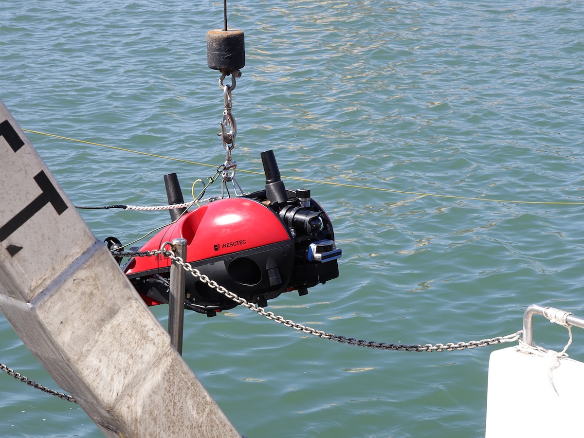 OceanSciTec's tweet photo. The international EU-funded NETTAG+ initiative, leveraging autonomous robotics from INESC TEC, acoustic sensors, and AI to locate abandoned ghost fishing gear, has been recognised with the prestigious Atlantic-WestMED Project Award 2026

Read more 🔗 https://t.co/QbDQgi3Ogf https://t.co/UpoIKaUps4