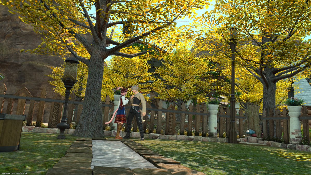ff14_siva's tweet photo. #ゼロムス並木道
久々に一緒に撮ってきました！ https://t.co/xx0iHJWrDl