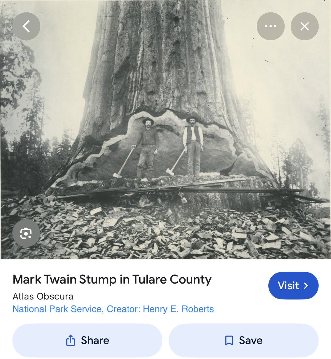 SaltandLight51's tweet photo. In the 1800’s…we went to war with giant trees 😩
I’m officially a tree hugger now…no shame in it…
#gianttrees
#savethetrees
#criminals https://t.co/xxoZwIFNvO