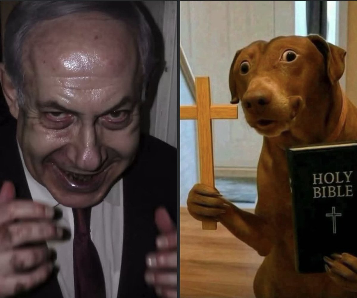 J7Mayorga's tweet photo. @RabbiJeffx #IsraelTheGenocideState https://t.co/KQzwLWWq6P