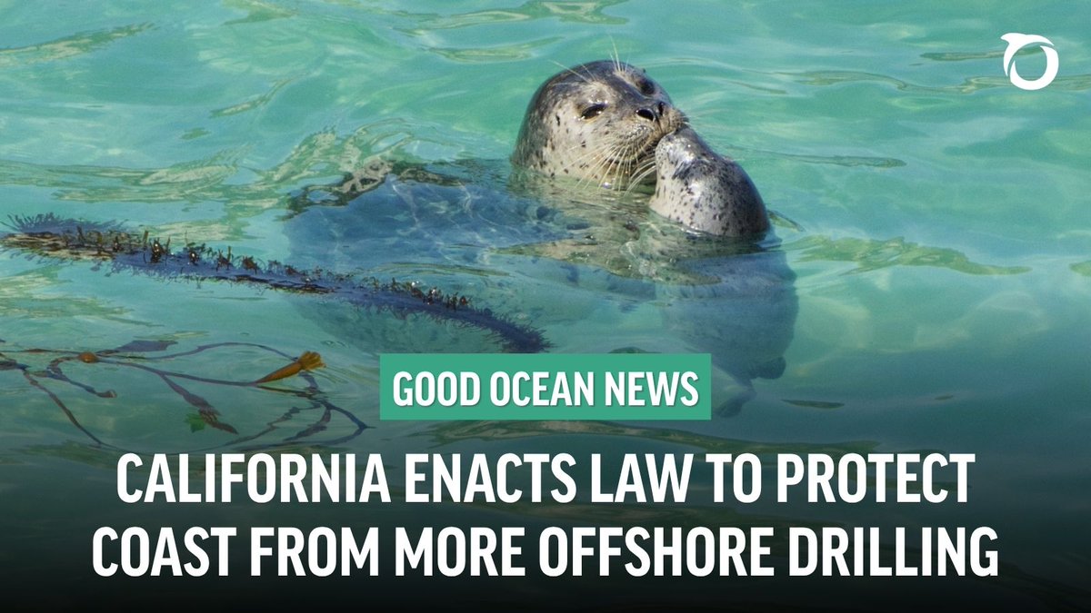 oceana's tweet photo. California just enacted a law to strengthen protections for the state’s coast from expanded offshore drilling.

These new safeguards come as the Trump administration proposes to increase offshore oil drilling off California, Alaska, and Florida. Speak up: https://t.co/DUOMM3Drnj https://t.co/FsX0Zy8wH4