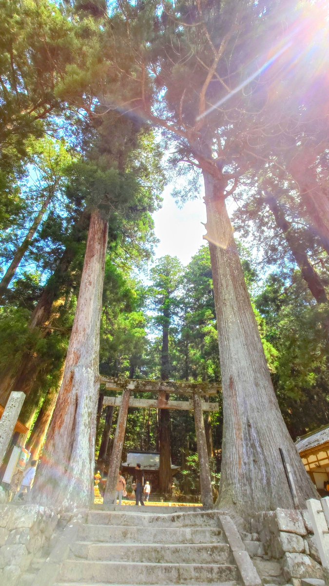 matiami7's tweet photo. 2026.8.30. 奈良県宇陀市に鎮座する室生龍穴神社さまを参拝させていただきました。

御祭神は、高龗神ほか五柱。

龍穴とは、風水や陰陽道において、大地のエネルギーが地上に噴き出す特別な場所のことを指し、古くから雨乞いの聖地であるそう。 https://t.co/BmWtTBKVH9