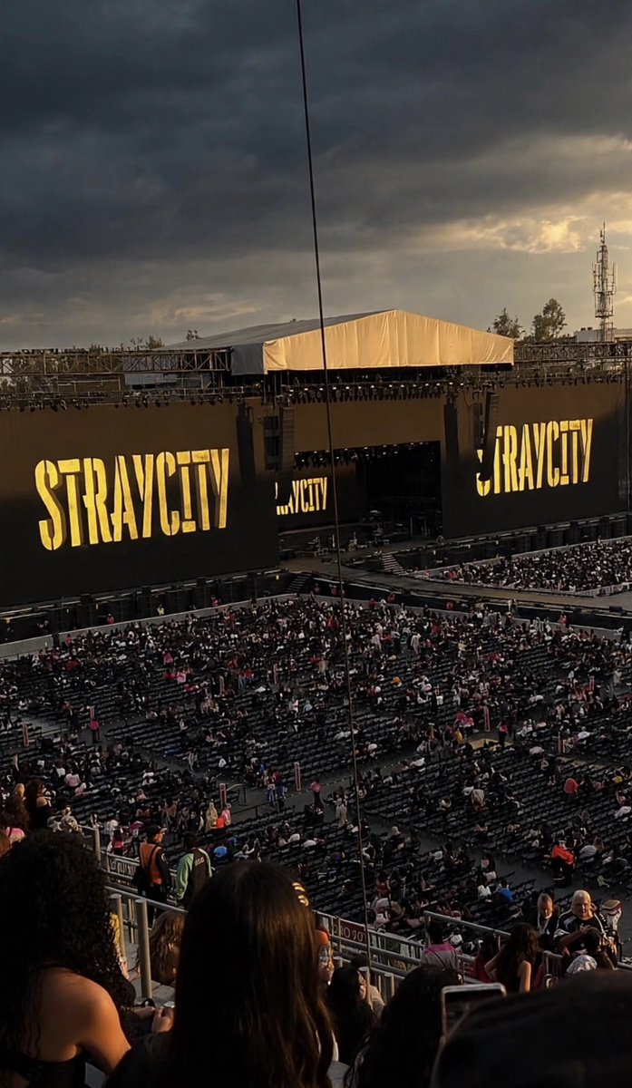 and_036ml's tweet photo. #StrayCityMéxico Lo mejor que me pasó 😮‍💨✨ https://t.co/DAvHXxoLSX