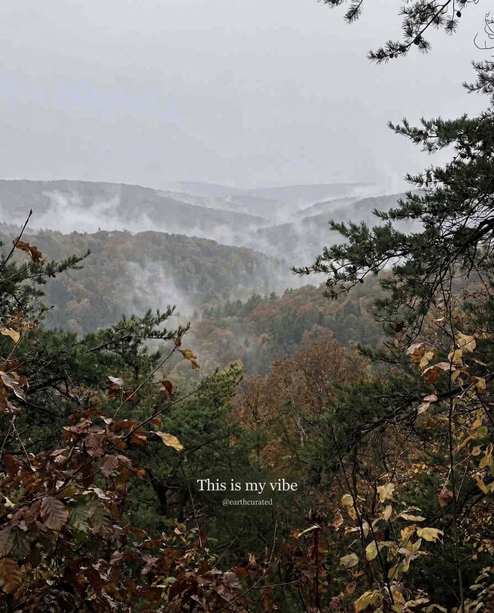 earthcurated's tweet photo. Grey skies, autumn colour and mist between the hills. Hard to beat this. https://t.co/EHwLKOeVPw