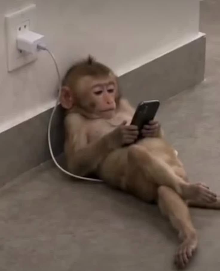 jennie_jkimruby's tweet photo. A mulher do RH entrou e eu estava bem assim no celular KKKKKKKKKKK https://t.co/D44SdQSKSw