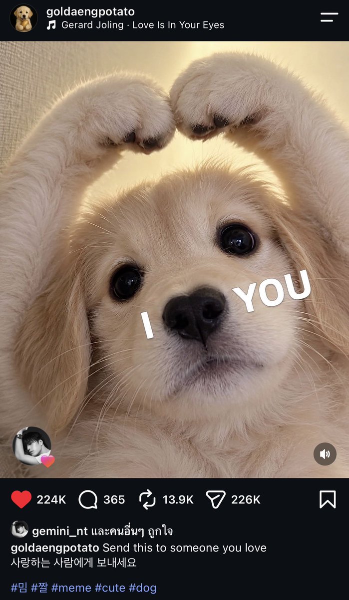 MDMB77's tweet photo. I 🐶 you ~ https://t.co/IylNRuHmgM