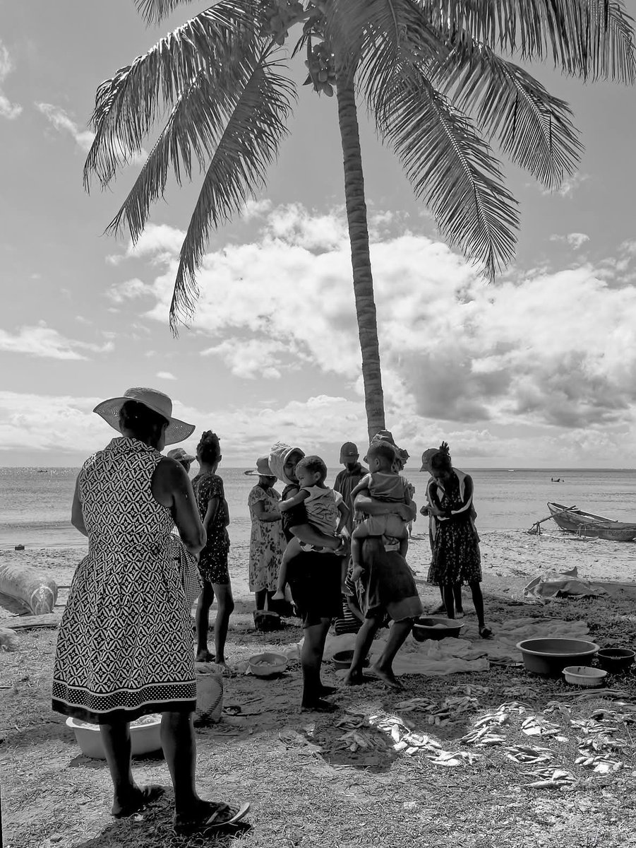 Nirysoo1's tweet photo. À Foulpointe, côte Est. Les femmes de pêcheurs proposent les poissons fraîchement pêchés. https://t.co/Q7yGNV25jj