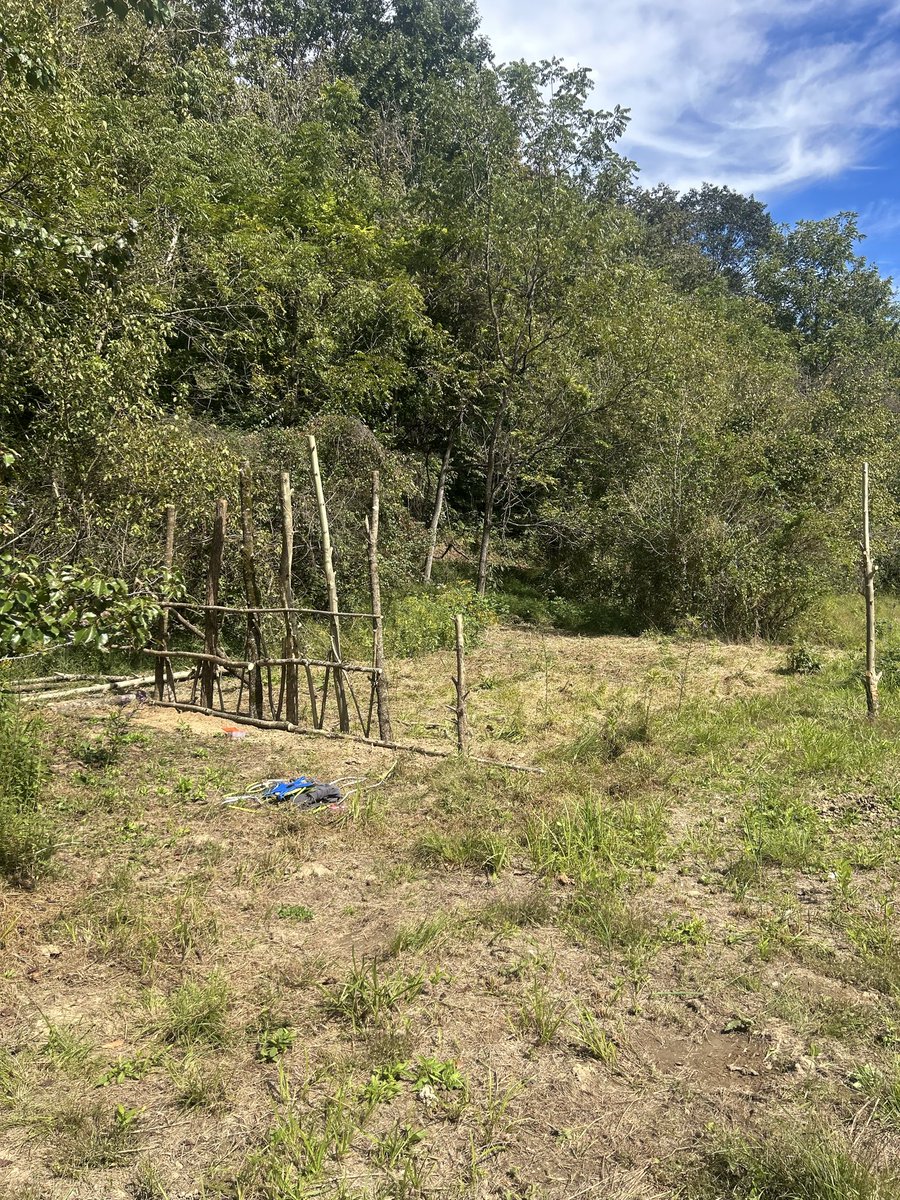 BWay124's tweet photo. @Mathew_Winters1 Every journey is so different in food production it’s awesome. Do you and have fun. I’ve been adding a pig fortress for them to sleep in when they’re a bit bigger and ready. We shall see how it does. https://t.co/6H3wDMPeRr