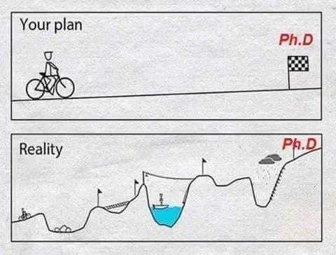ScholarshipfPhd's tweet photo. Plan vs Reality https://t.co/hx2zoDaClE