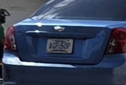 infomacaracuay's tweet photo. El propietario y desalmado del vehículo Chevrolet placa AGF50P abandonó una gatita de al menos 2 meses en la Av Chacao urb #Macaracuay y se escapó por la Av Naiguata. Los que amamos los animales pueden saber lo que le deseamos. Ojalá y se logre dar con ese señor @PolisucreOficia https://t.co/QadBw98nNs