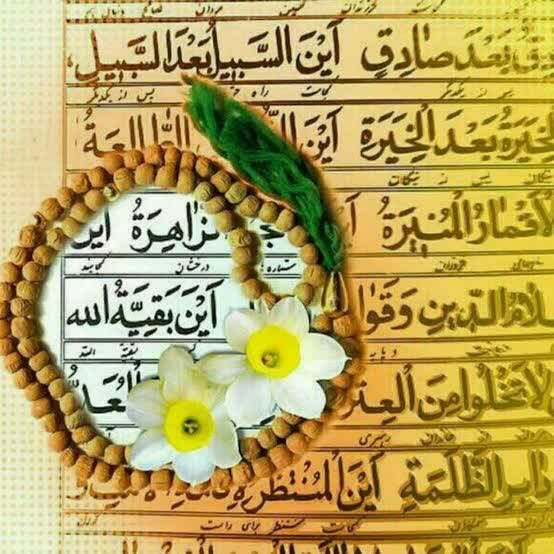 Yamolaali_0's tweet photo. توی زندگیتون هر کجا که احساس کردید دیگه دارید کم میارید ، زیاد آقا رو صدا بزنید ؛ مدد میرسونن... https://t.co/hc40K4ys6H