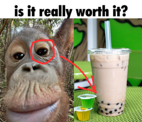 orangutannie's tweet photo. https://t.co/C1BZjSg6w5