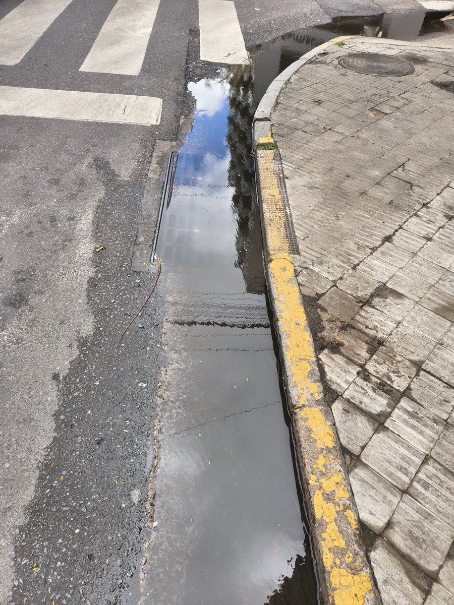 CalleDeRosario tweet picture