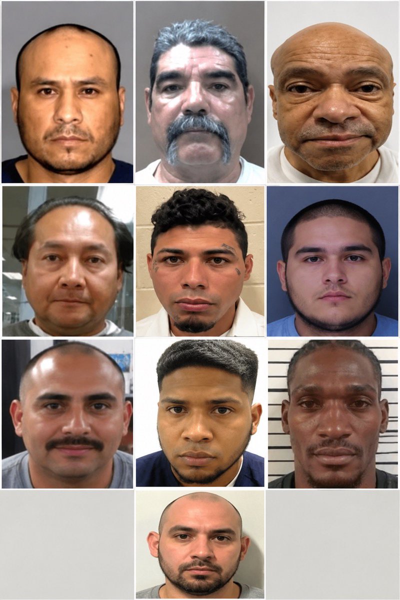 bennyjohnson's tweet photo. ICE arrested seven illegal aliens previously convicted of heinous crimes that were still living in the U.S.

Their convictions include:
-Murder and second-degree murder
-Reckless homicide
-Lewd acts with a child under 14
-Sexual abuse of a minor
-Second-degree sexual assault of a child
-Child abuse resulting in great bodily injury or death

These are the people Democrats want to keep in our country. Trump's DHS is removing them.

This is what I voted for.